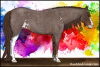 Horse Color:Liver Red Roan Sabino 