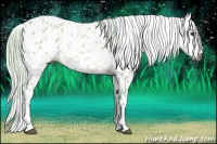 Horse Color:Gray Watercolor Silver Bay Dun Frame Appaloosa 