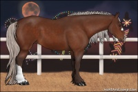 Horse Color:Silver Bay 