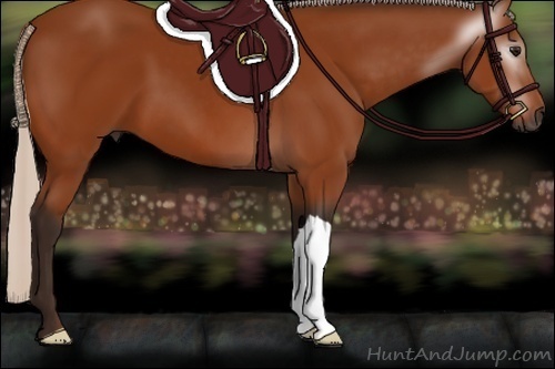 Horse Color:Gray Silver Bay