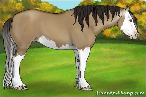 Horse Color:Gray Classic Champagne Dun Splash 