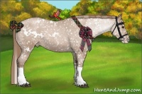 Horse Color:White Spotted Blue Roan Pearl Splash Appaloosa 