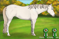 Horse Color:White Spotted Perlino Dun Sabino