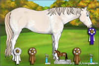 Horse Color:White Spotted Perlino Sabino 