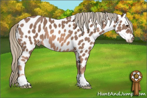 Horse Color: Chestnut Mushroom Near Leopard 