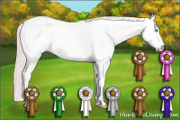 Horse Color:White Spotted Perlino Dun 