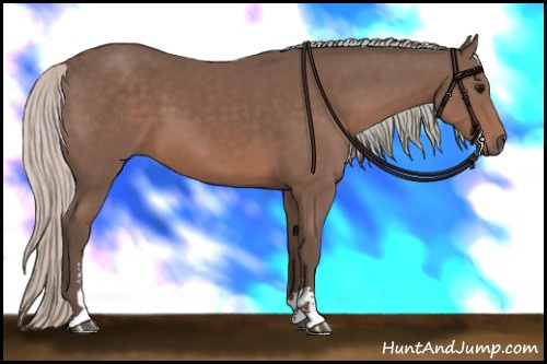 Horse Color: Silver Black Sabino 
