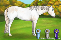 Horse Color:White Spotted Perlino 