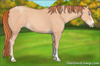 Horse Color:Gray Smoky Creme Splash Tobiano