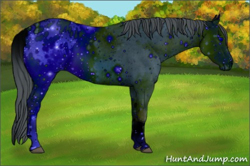 Horse Color: ERROR: UNKNOWN ANOMALY