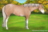 Horse Color:Silver Bay Pearl Sabino 