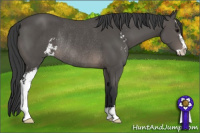 Horse Color:Black Sabino Rabicano 
