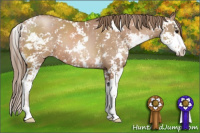 Horse Color:Black Pearl Sabino 