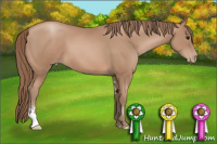 Horse Color:Brown Pearl Sabino 