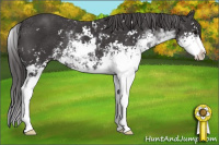 Horse Color:Buckskin Sabino 