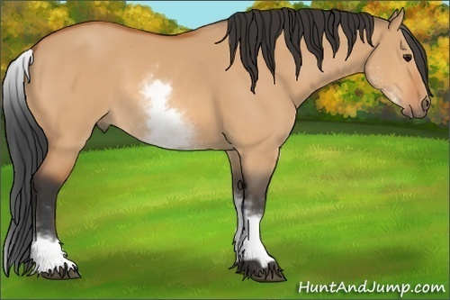 Horse Color: White Spotted Bay Dun 