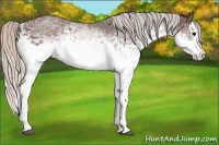 Horse Color:White Spotted Silver Black Splash Rabicano 