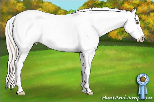 Horse Color: Silver Bay Dun Splash Tobiano Blanket Rabicano 