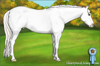 Horse Color:Silver Bay Dun Splash Tobiano Blanket Rabicano 