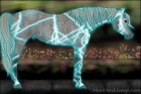 Horse Color:Gray Thunderstruck Silver Blue Roan 
