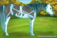 Horse Color:Gray Thunderstruck Brown Roan Splash 