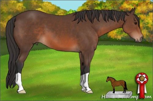 Horse Color: Brown 