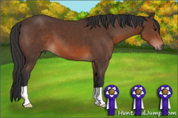 Horse Color:Brown 