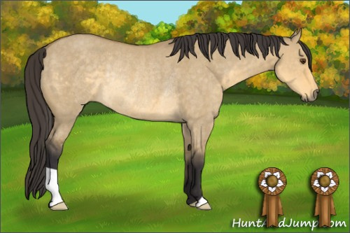 Horse Color: Buckskin Dun Rabicano 
