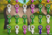 Horse Color:Bay Dun Rabicano 