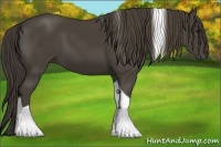 Horse Color:Smoky Black Tobiano