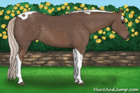 Horse Color:Silver Black Sabino Tobiano