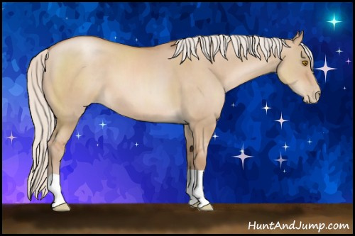 Horse Color: Silver Grullo Pearl 