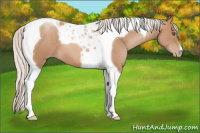 Horse Color:Silver Black Pearl Tobiano 