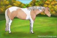 Horse Color:Silver Bay Pearl Tobiano 