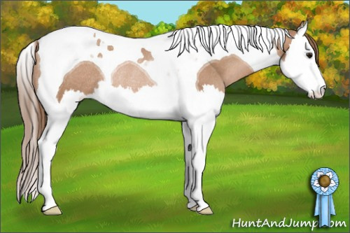 Horse Color: Black Pearl Splash Tobiano Rabicano 