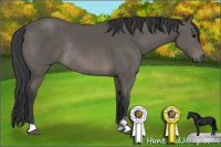 Horse Color:Black Sabino Rabicano 