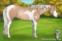 Horse Color:Silver Black Pearl Sabino Tobiano Rabicano