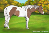Horse Color:Silver Black Tobiano