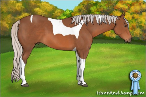 Horse Color: Silver Bay Tobiano 