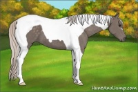 Horse Color:Silver Black Tobiano 