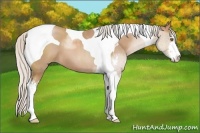 Horse Color:Silver Black Pearl Sabino Tobiano 