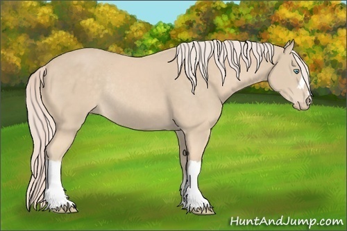 Horse Color: Cremello Rabicano 