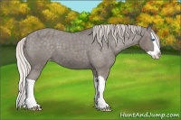 Horse Color:Silver Black Splash Varnish 