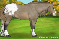 Horse Color:Buckskin Mushroom Splash Snowcap 