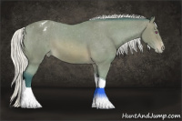 Horse Color:Watercolor Silver Bay Chinchilla Sabino Tobiano Varnish Rabicano 