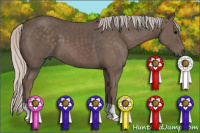 Horse Color:Silver Black 