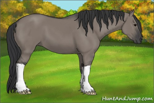 Horse Color: Brown Dun 