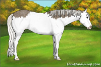 Horse Color:Silver Smoky Black Sabino Splash 