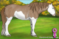 Horse Color:Gray Smoky Creme Splash Rabicano 
