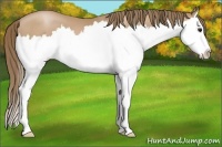 Horse Color:Black Pearl Splash 